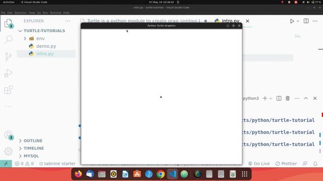 Python Turtle Graphics  | Turtle Movement | Beginners to Advanced Part - 1 #pythonturtlegraphics
