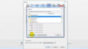 How to Delete Cookies in Mozilla Firefox