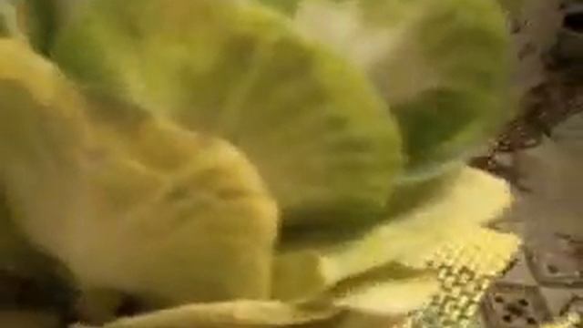 цветок Капуста смотреть онлайн