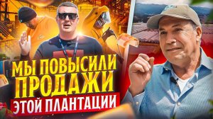 Самая знаменитая плантация Эквадора | Garda Export | Цветы оптом