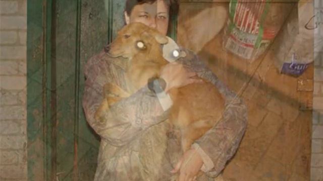 Реабелитационный центр ДРУГ До и После смотреть онлайн