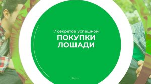 Дистанционный курс обучения «Коневодство» - 7 секретов успешной покупки лошади