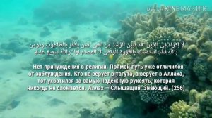 Сура "Аль-Бакара", аяты 255-257. Чтец Ислам Субхи. Прекрасное чтение!!!