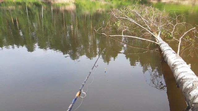 Ловля щуки на рогатку. смотреть онлайн