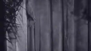 Эдит Пиаф. "La vie en rose" (русские субтитры)