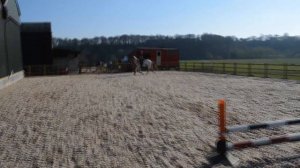 First jumping lesson with Ruu [HD]