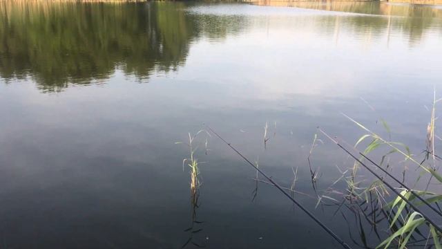 Тесто для рыбалки что удалось поймать смотреть онлайн