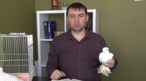 Детям о голубях из Библии | Библейские уроки для детей | Александр Антонов