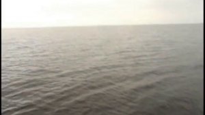 Рыбалка в Карелии ловля хариуса и окуня на Онеге