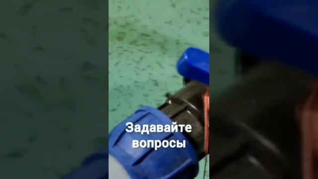 Какое количество стерлядки в УЗВ