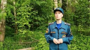 Правила безопасности при походе в лес