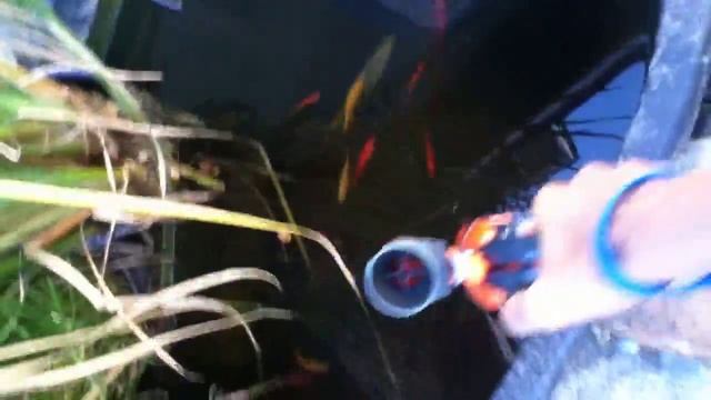 Bear Grylls || How to Survival Tutorial смотреть онлайн