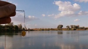 Рыбалка в Крыму. Платник в Тепловке