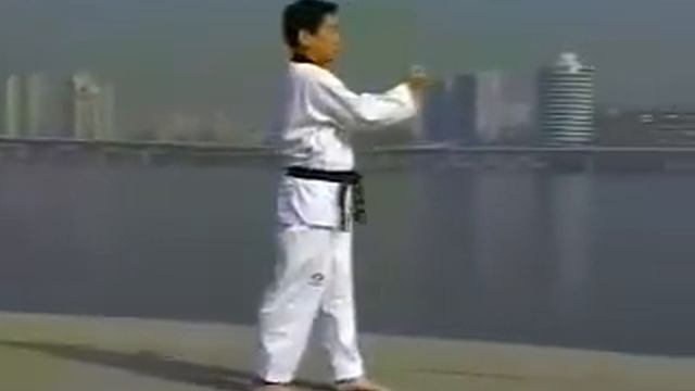 Pattern (Taeguek) 1 смотреть онлайн