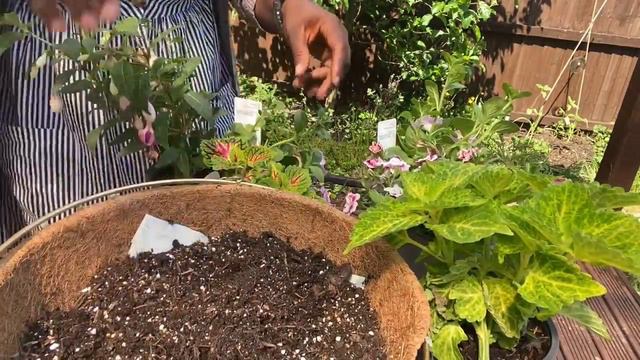 The perfect  HangingBasket for your SummerGarden