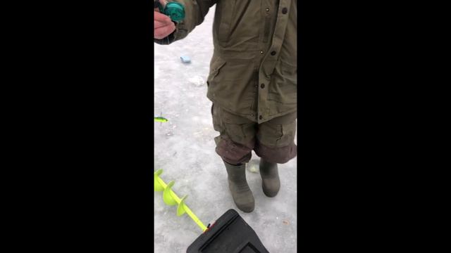 Три Пескаря