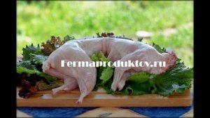 мясо домашнего кролика цена