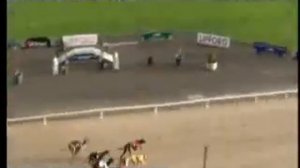 IGB - THE RETIRED GREYHOUND TRUST S4  SPRINT 27/04/2019 Race 2 - Lifford