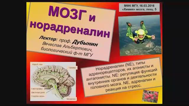 Вячеслав Альбертович Дубынин, биофак МГУ
Химия мозга,  Лекция № 5: Адреналин, норадреналин