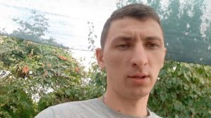 Инвертированный сироп для пчёл. Как готовим? Какие пропорции?
