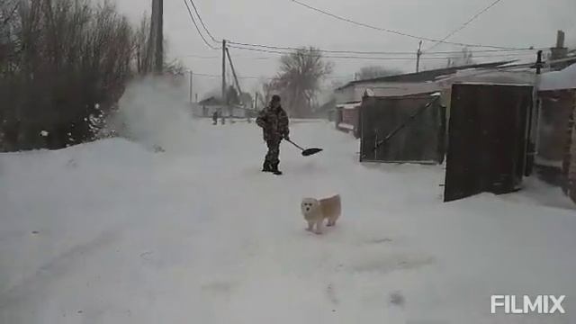 Буран не помеха баньщикам. 22.01.20. АДАМОВКА. смотреть онлайн