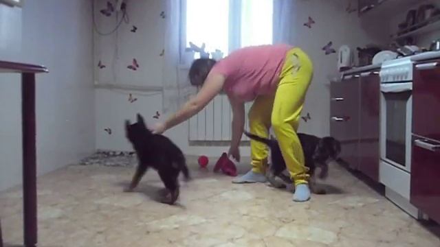 SAM 3143 смотреть онлайн