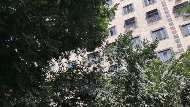 Ташкент, Чиланзар, 14 квартал. 2023 год, июнь