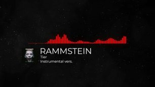 RAMMSTEIN - Tier (Instrumental cover)