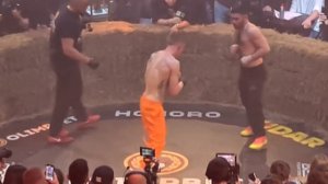 Топ Дог 12 - Чибис Мустафа 5й раунд