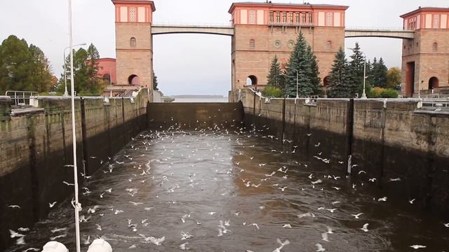 Canon EOS 70D, тест видеорежима смотреть онлайн