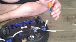 tefal explorer serie 20, чистка. что лучше i robot или франчуз???