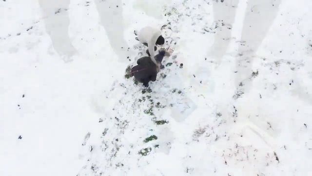 битва сильнейших экстрасенсов на острове. 16 ноября 2022 года. смотреть онлайн