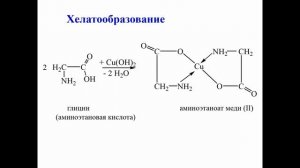 Лекция: Химия - Аминокислоты