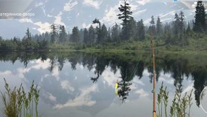 My Fishing World Густера без прилова.