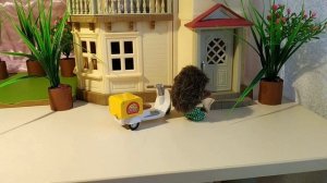Sylvanian families (Сильваниан фэмилис). Спортивное утро семьи кенгуру