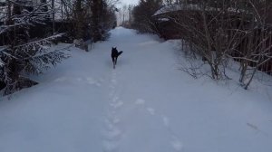 ЛУЧШЕЕ ВРЕМЯ ДЛЯ ПОСТРОЙКИ ЗАГОРОДНОГО ДОМА СТРОИМ ДОМ ЗИМОЙ ДАЧА СТРОИМ ДОМ С ТЕРЕМЪ ВИТЯЗЬ 3