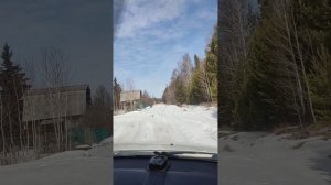 Дача садоводство Сосновый бор общество 1 ,2 я улица участок. 27 за больше жилкиным Усольский район.