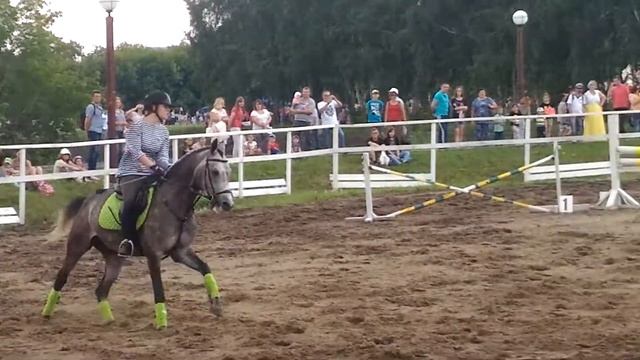 Соревнования в Радовести 22.07.2017г.Соня и Лафит смотреть онлайн