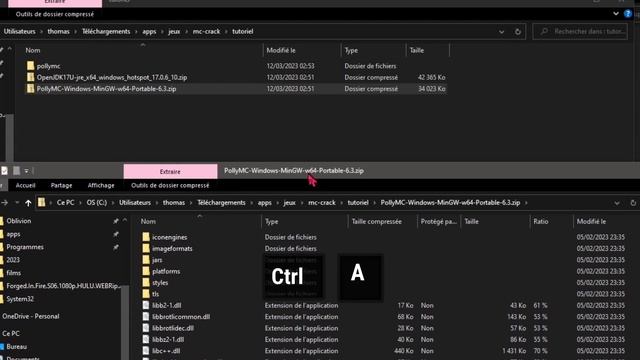 [FR] Mettre à jour PollyMC et jre17 смотреть онлайн