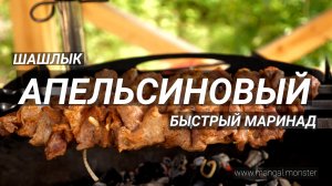 Шашлык | Цитрусовые маринады| Шашлык в апельсинах