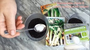 ЛУК ПОРЕЙ БЕЗ ПИКИРОВКИ! РАССАДА ЛУКА ПОРЕЯ! СПОСОБ ВЫРАЩИВАНИЯ ЛУКА ПОРЕЯ! ПОСЕВ В КИПЯТОК