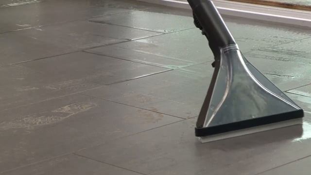 Моющие пылесосы Karcher SE