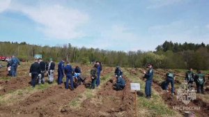 Всероссийская акция «Сад памяти»