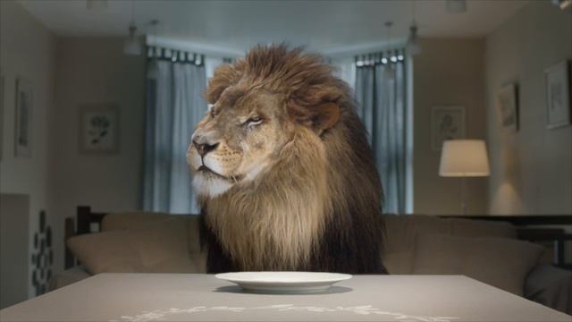 МЕНЯЕМ СТАВКУ  ПО КРЕДИТУ НА МЕНЬШУЮ смотреть онлайн