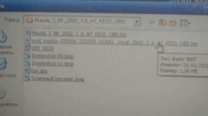 Mazda 3 BK 1.6 P0410 P0420 Catalytic EGR Evap Removal #Mazda #P0420 #P0410 #CAT #EGR Z602 100140-70