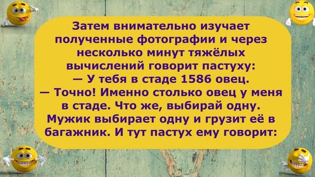 Лучшие смешные Анекдоты анекдот про пастуха и овец смотреть онлайн