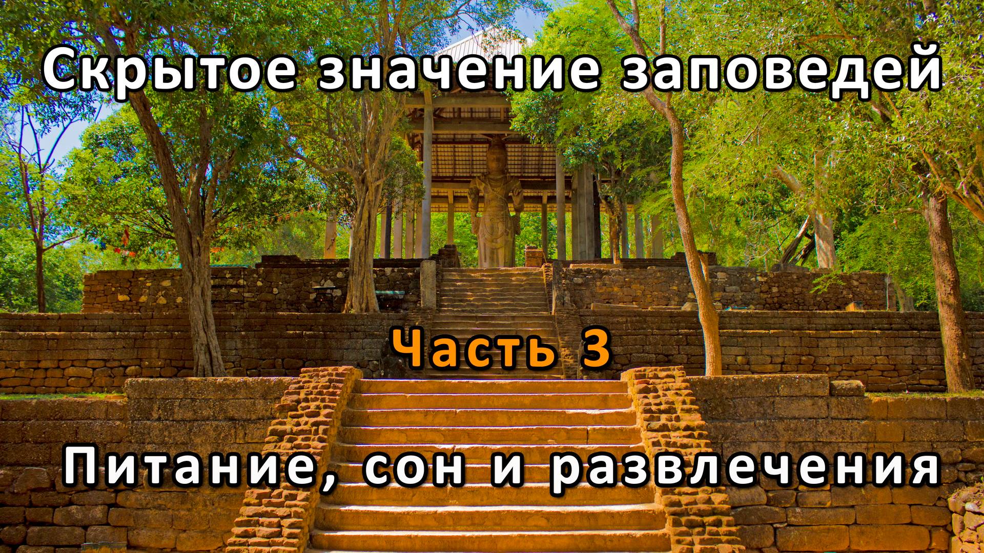 Скрытое значение заповедей. Часть 3