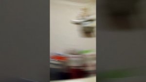 Газовая белая колонка дион