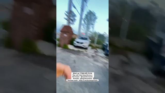 KIA K5 и HYUNDAI SONATA СРАВНЕНИЕ смотреть онлайн