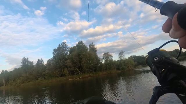 Нашёл стаю щук под берегом ! БЕШЕНЫЙ КЛЁВ НА ДЖИГ ! смотреть онлайн